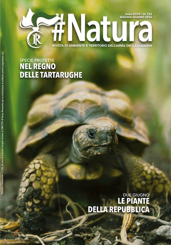 #Natura - Mag-Giu-2026